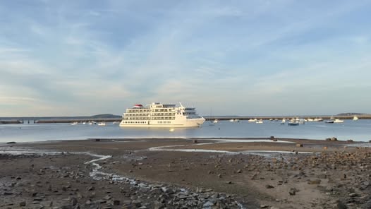 A white cruise ship anchored in Plymouth Harbor at low tide.