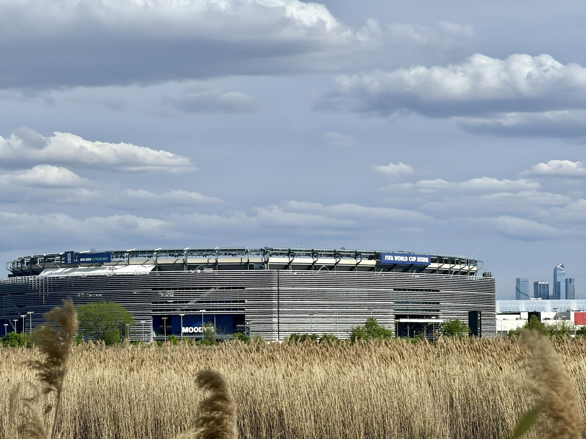 MetLife Stadium in East Rutherford, New Jersey, wearing 'FIFA World Cup 2026' roof signage, seen across a field of tall meadow grass under a cloudy sky.