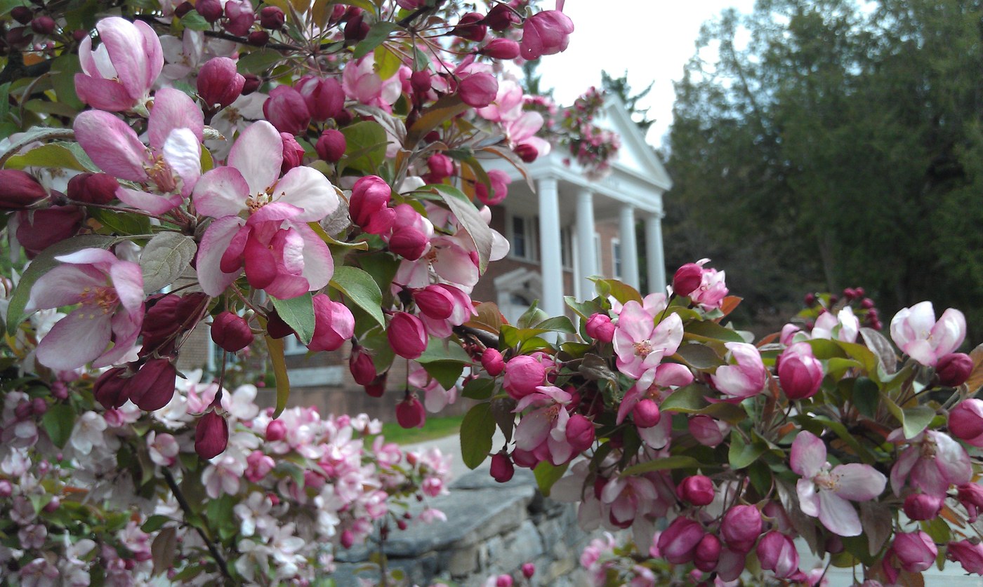 Retreat center main building through blossoming crabapple trees