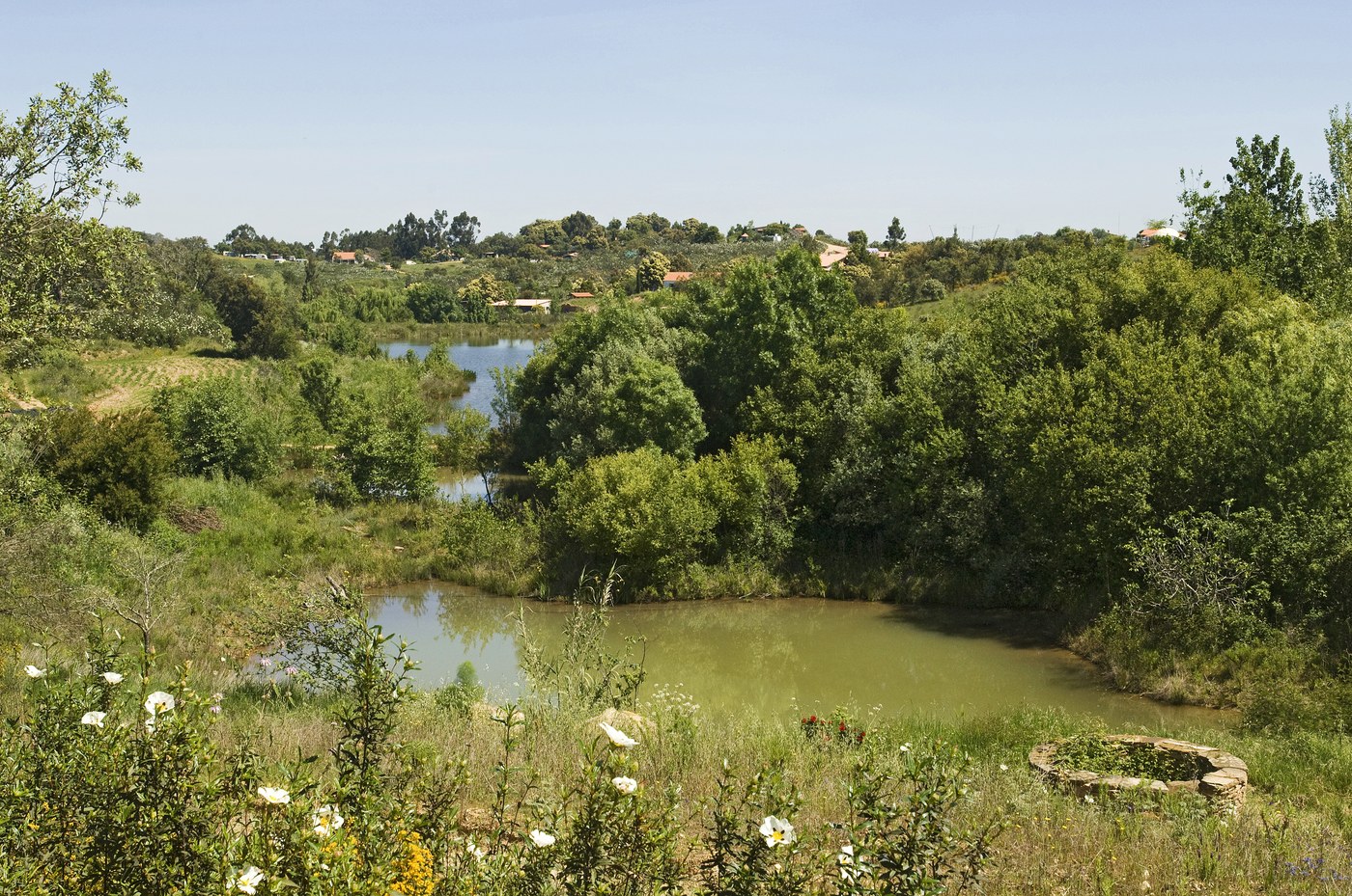 South Valley at Tamera