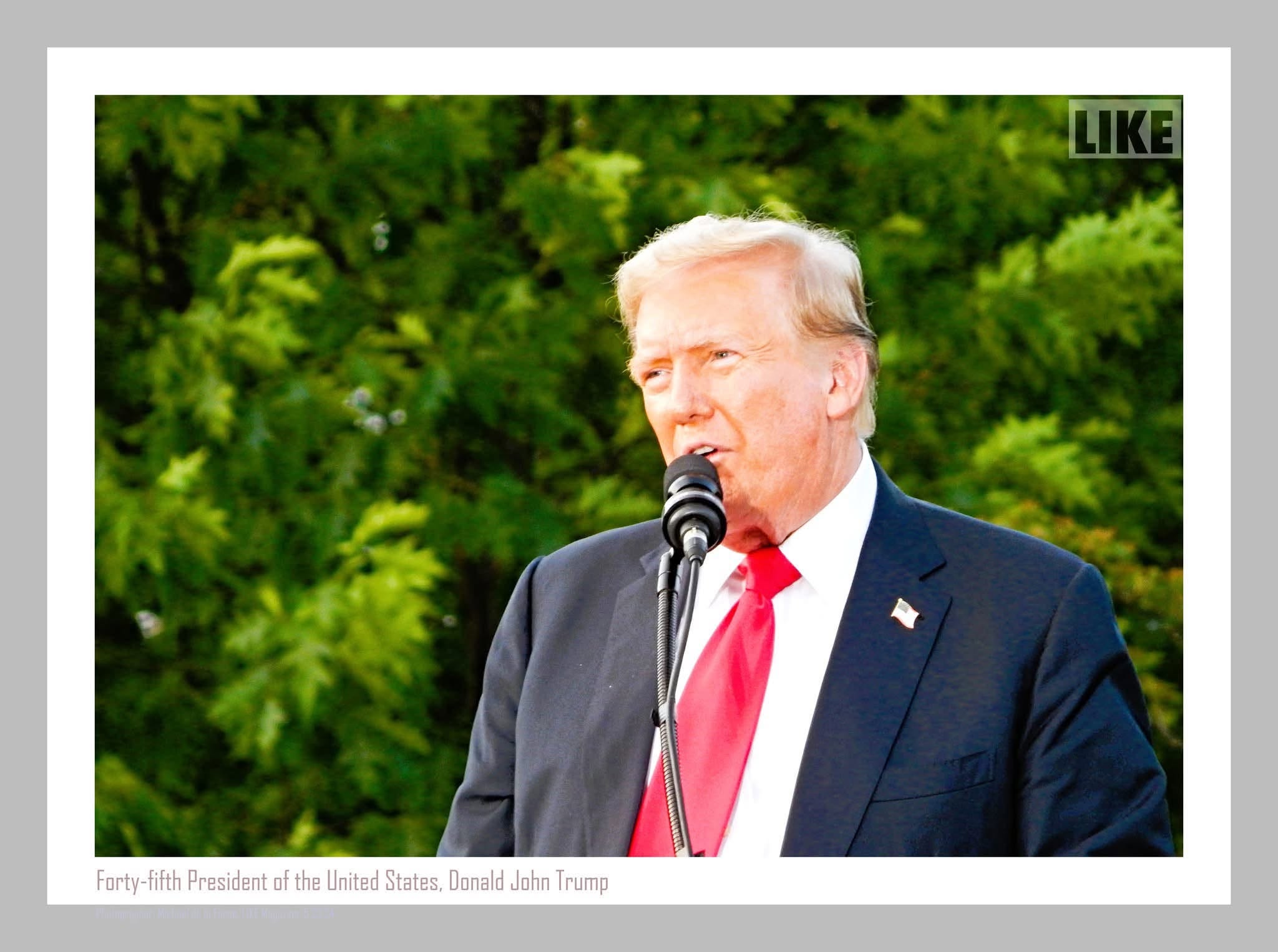 President Donald Trump speaks into a microphone outdoors, green foliage behind him.