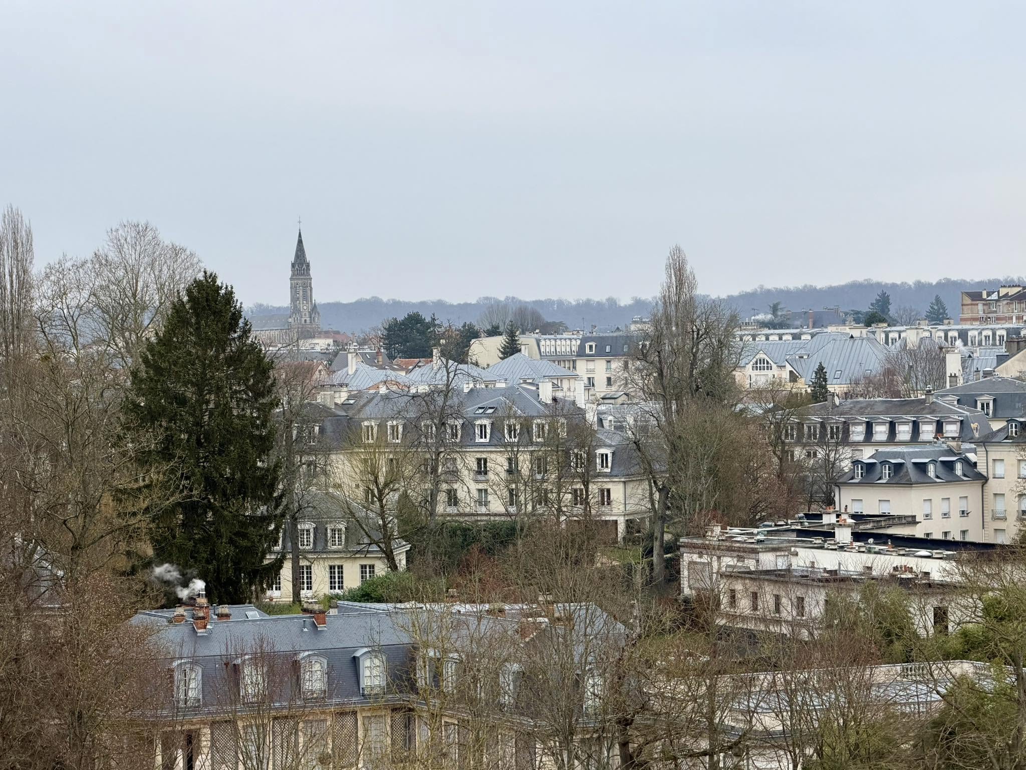 A winter view across the rooftops of Versailles, France, its church spire rising in the distance above bare trees.