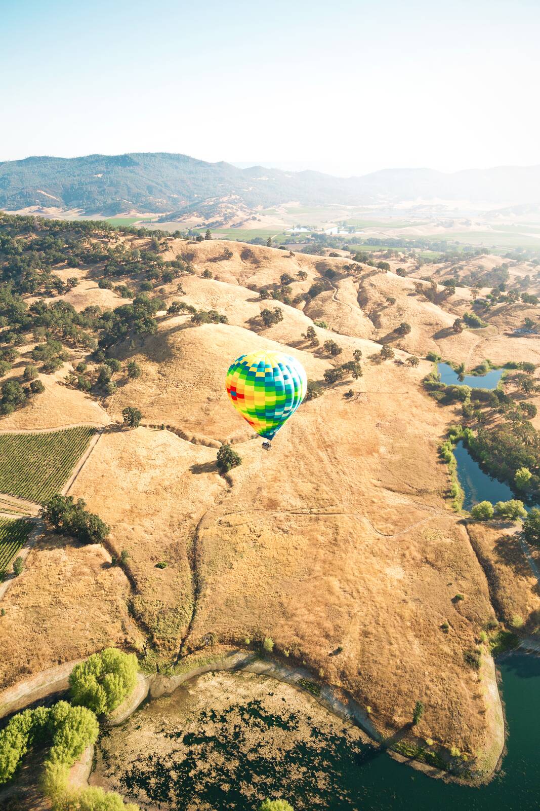 Napa Valley vineyard landscape