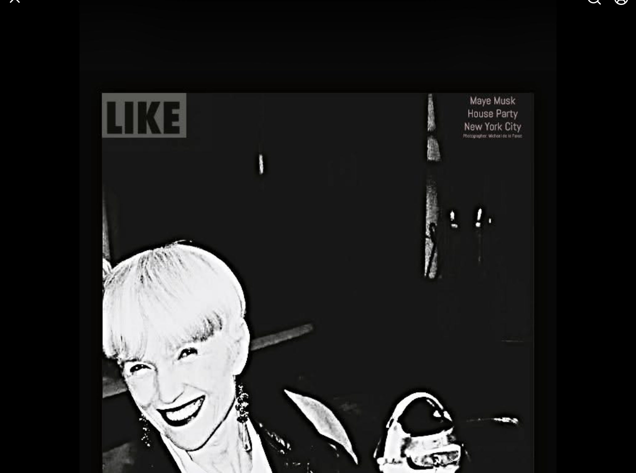 Maye Musk house party, New York City